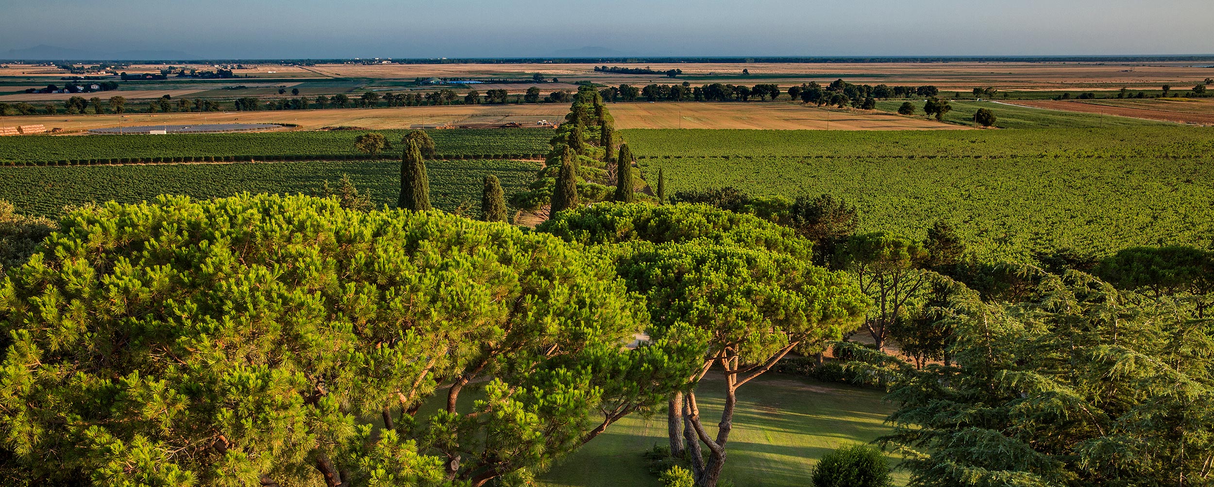 Maremma