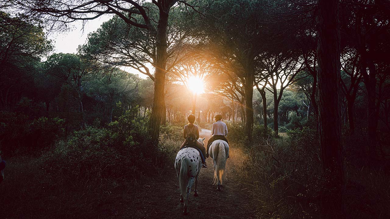 maremma horse riding